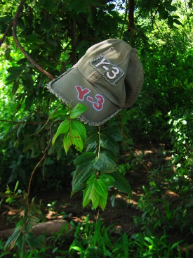 A tree to hang your hat on.
